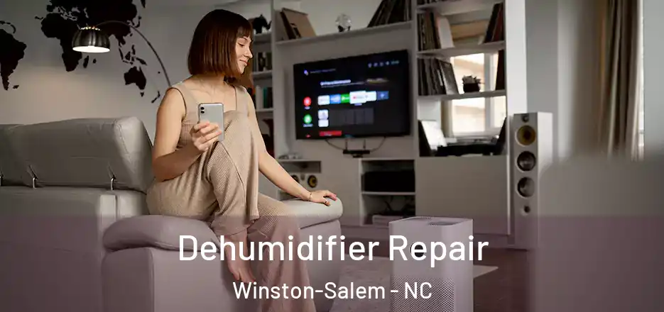  Dehumidifier Repair Winston-Salem - NC